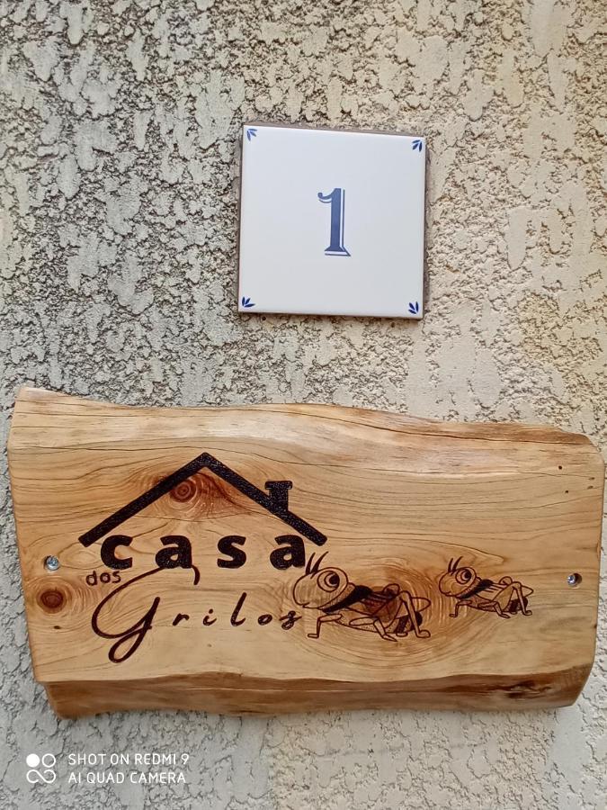 Casa Dos Grilos Penacova Zewnętrze zdjęcie