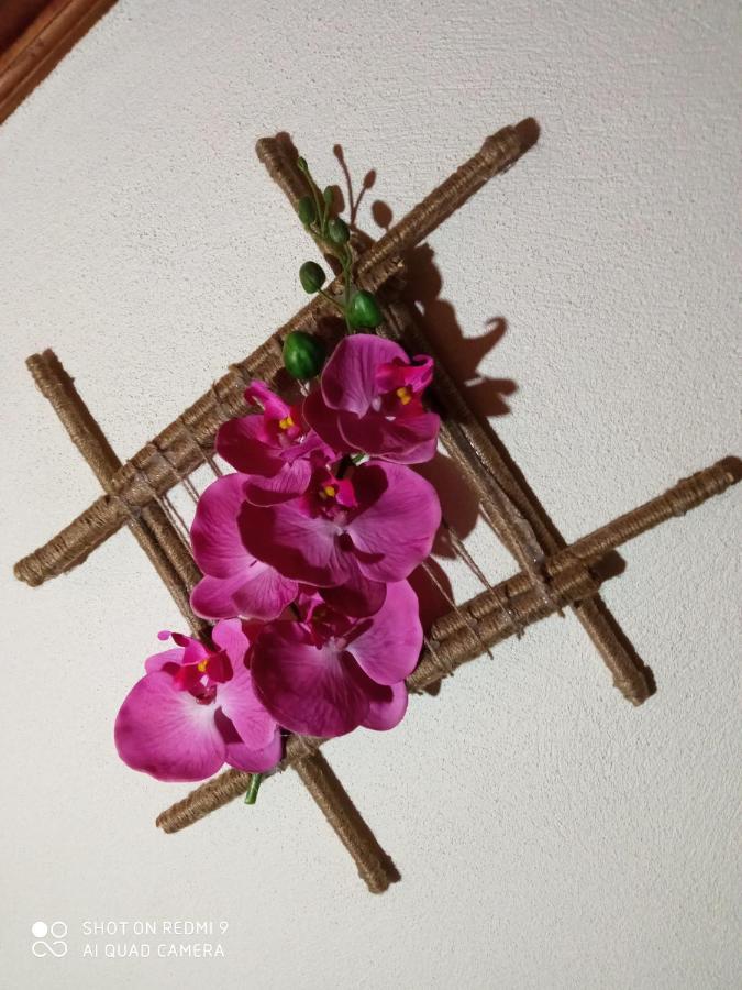 Casa Dos Grilos Penacova Zewnętrze zdjęcie