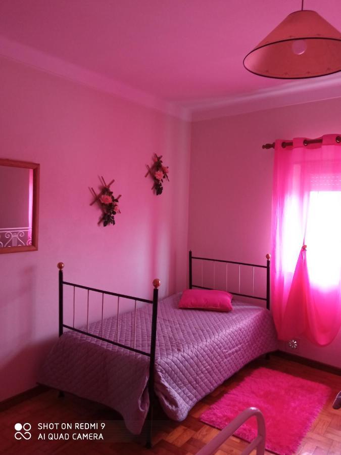 Casa Dos Grilos Penacova Zewnętrze zdjęcie