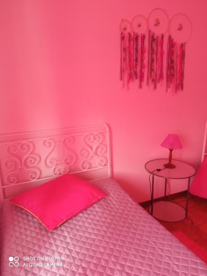 Casa Dos Grilos Penacova Zewnętrze zdjęcie
