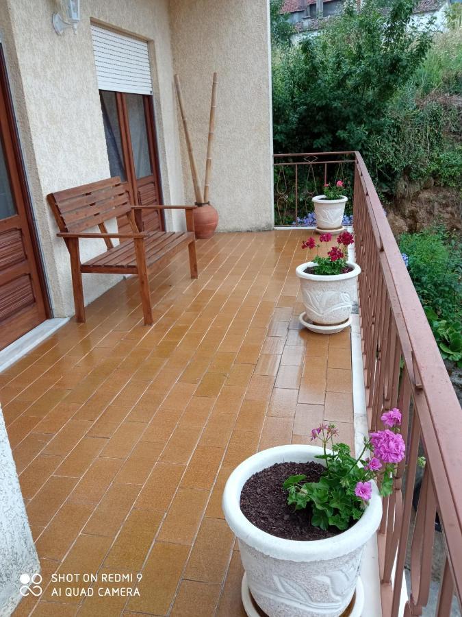 Casa Dos Grilos Penacova Zewnętrze zdjęcie