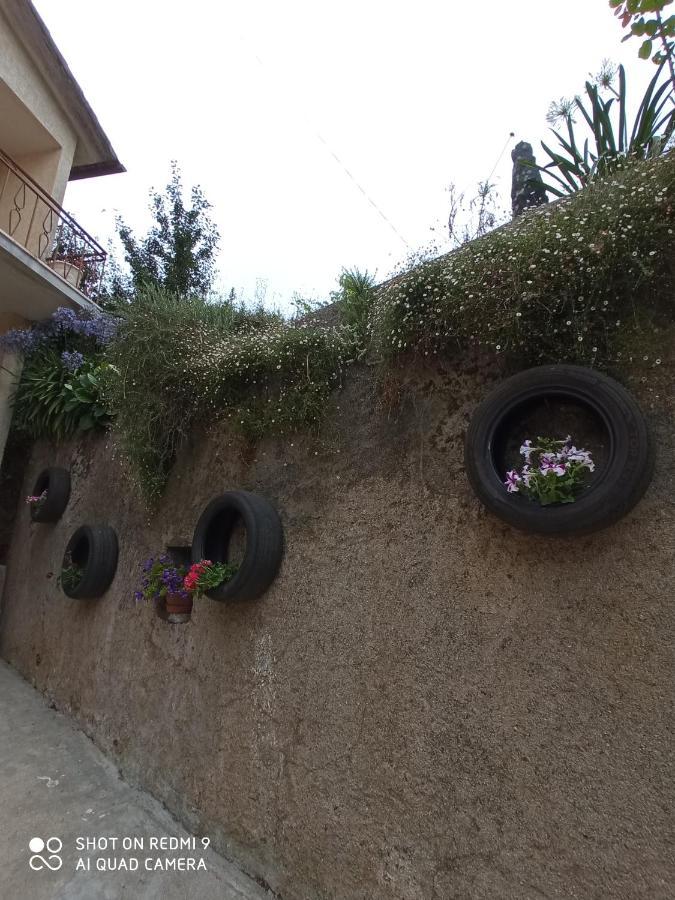 Casa Dos Grilos Penacova Zewnętrze zdjęcie