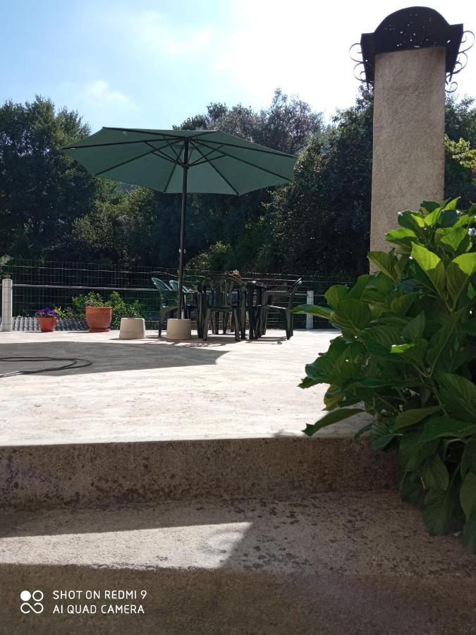Casa Dos Grilos Penacova Zewnętrze zdjęcie