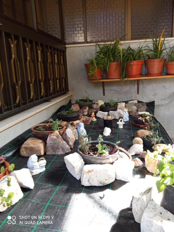 Casa Dos Grilos Penacova Zewnętrze zdjęcie