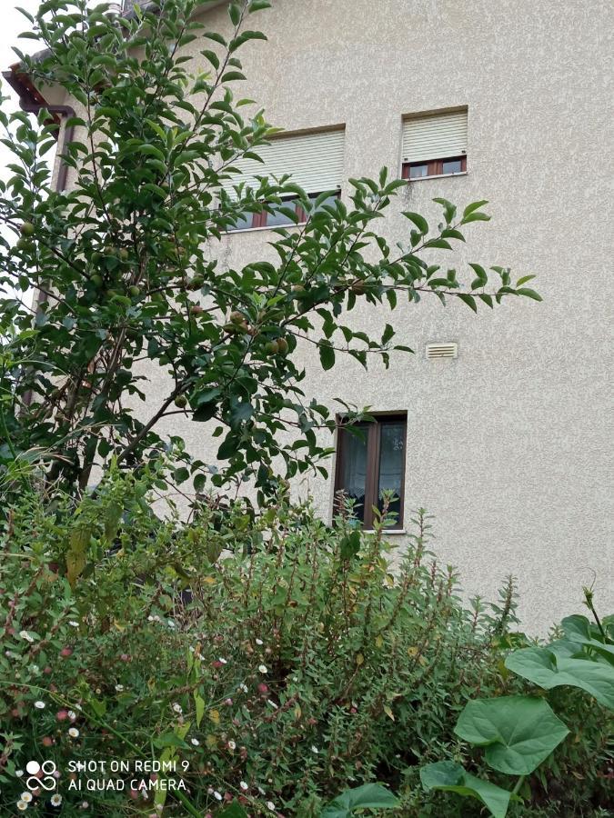 Casa Dos Grilos Penacova Zewnętrze zdjęcie