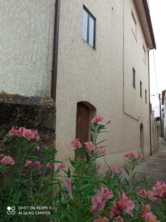 Casa Dos Grilos Penacova Zewnętrze zdjęcie