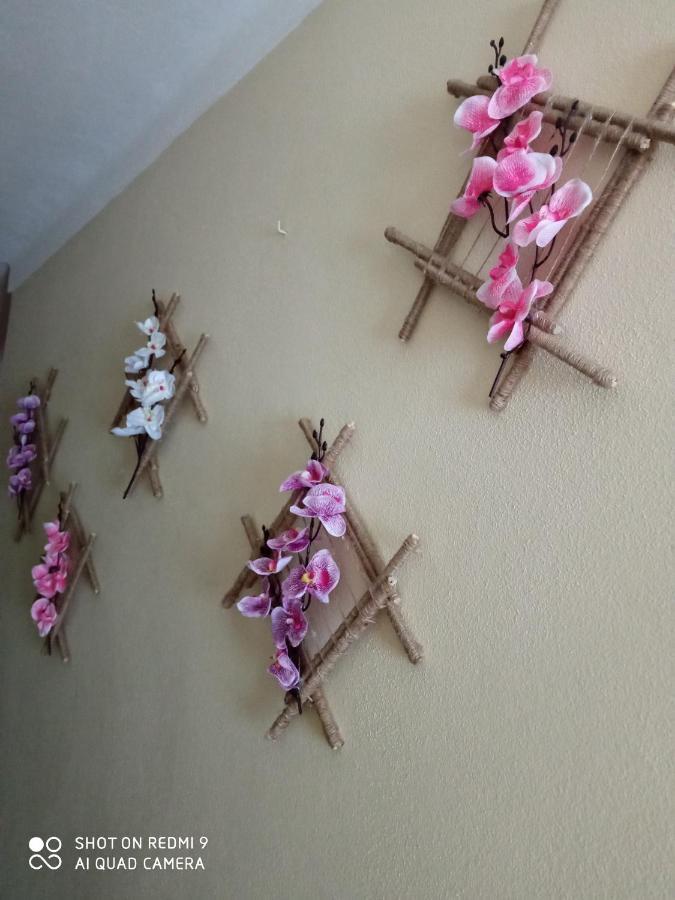 Casa Dos Grilos Penacova Zewnętrze zdjęcie