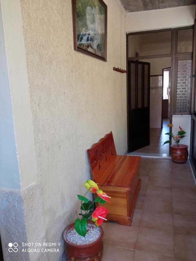 Casa Dos Grilos Penacova Zewnętrze zdjęcie